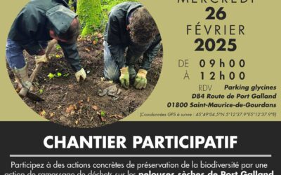 🍃🌿Chantier participatif sur les pelouses sèches de Port Galland 🌳