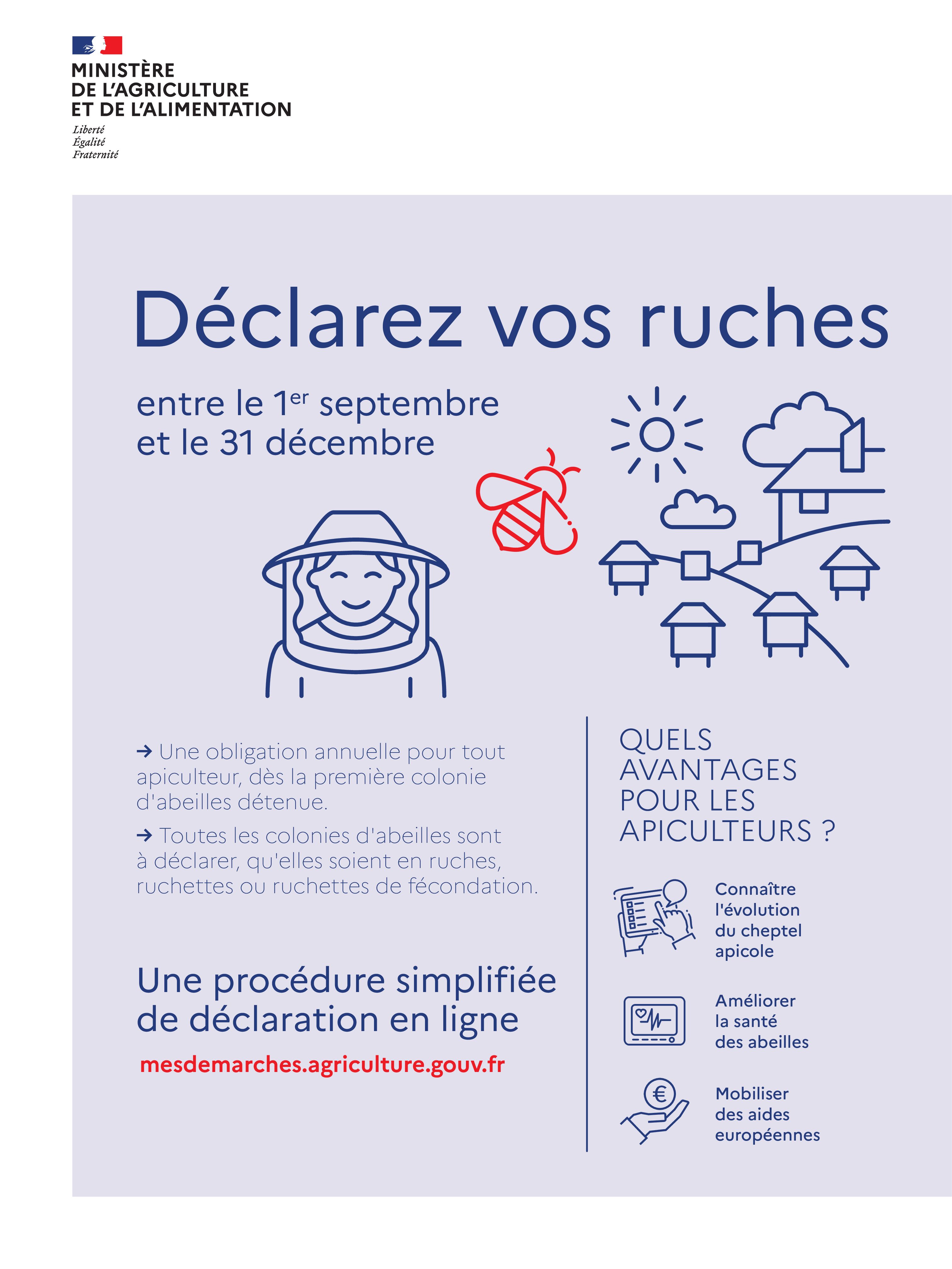 🐝 DÉCLAREZ VOS RUCHES 🐝
