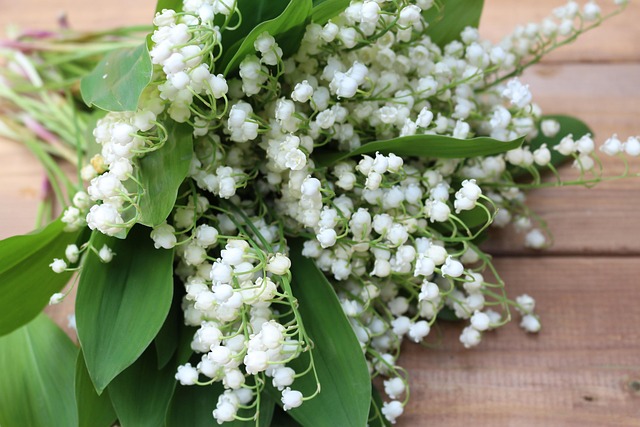 🌼 ARRÊTÉ PORTANT SUR LA VENTE AMBULANTE DE MUGUET 🌼