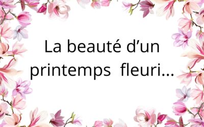 La beauté d&rsquo;un printemps fleuri…
