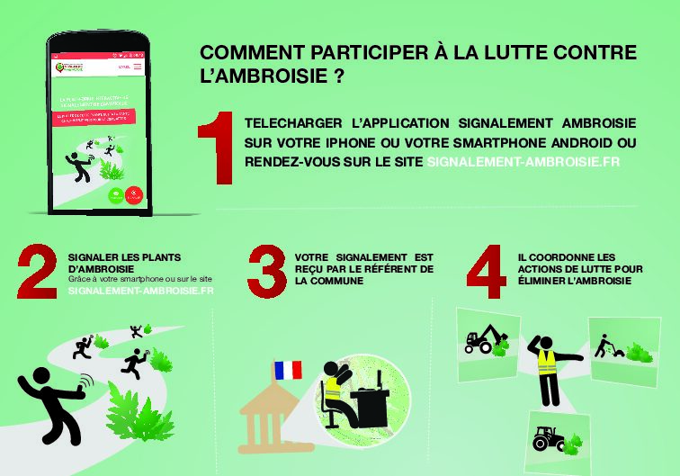 🌿 ENSEMBLE, PARTICIPONS À LA LUTTE CONTRE L’AMBROISIE ! 🌿