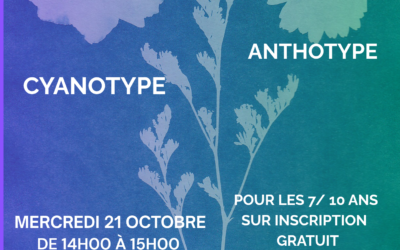 🌿 LA BIBLIOTHÈQUE DE LOYETTES VOUS PROPOSE UN ATELIER DÉCOUVERTE CYANOTYPE ANTHOTYPE 🌿